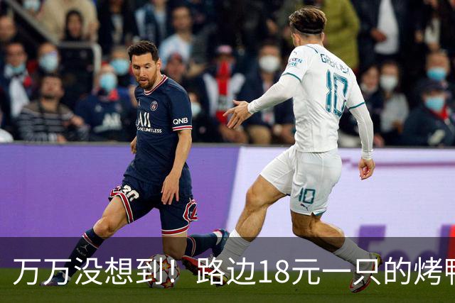 万万没想到！路边18元一只的烤鸭，用的居然是这种鸭子，能吃吗？